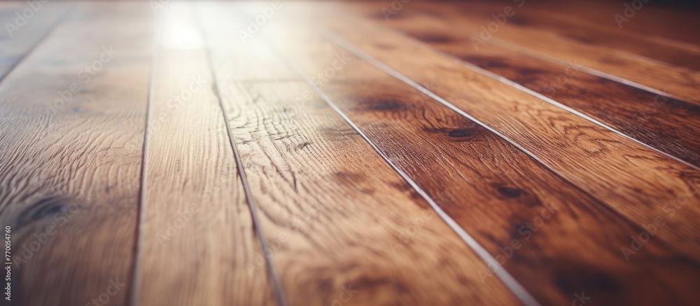Detailed close-up view of a smooth wooden surface with grains and textures on a polished wooden floor - obrazy, fototapety, plakaty 