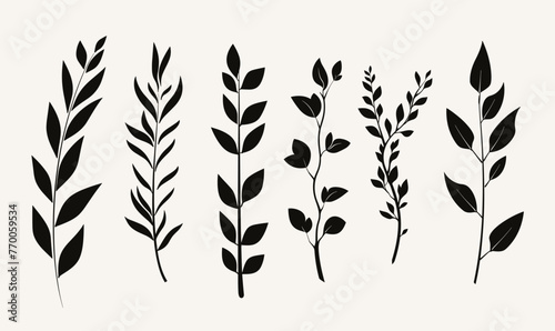 Set of black icons of twigs with leaves. Collection of vector icons of twigs with leaves on a white background photo