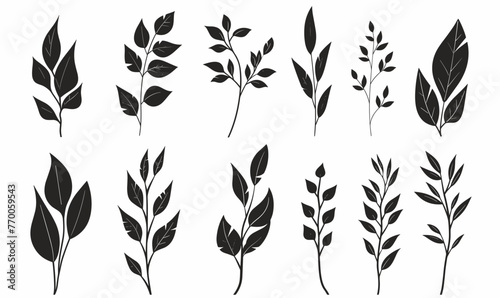 Set of black icons of twigs with leaves. Collection of vector icons of twigs with leaves on a white background