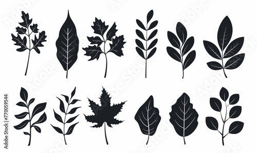 Set of black icons of twigs with leaves. Collection of vector icons of twigs with leaves on a white background photo