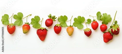 red ripe strawberry fruits branch banner background, Generative Ai   © QuietWord