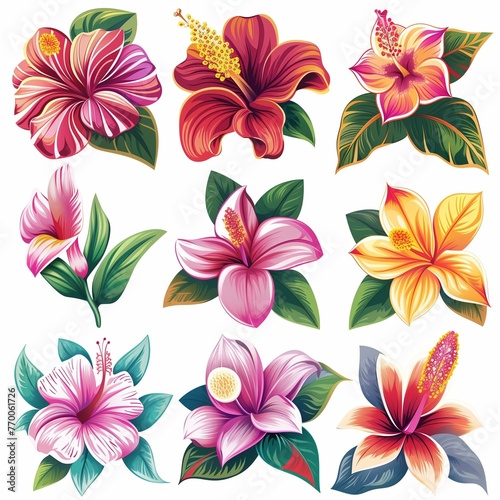 Vibrant Collection of Exotic Hibiscus Flowers Illustration Set