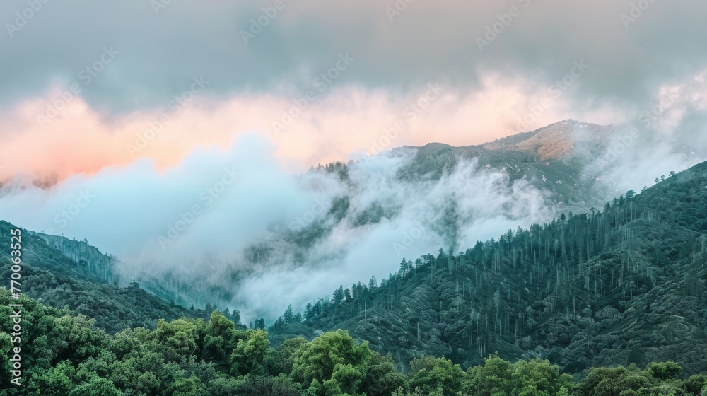  A mountain shrouded in mist and cloud, with a woodland in the fg and trees in the mg, against a backdrop of pink and azure sky