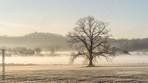 A hazy meadow featuring a tree up front and a house afar atop a distant hill