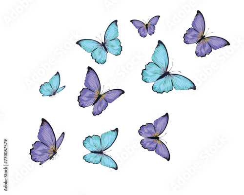 blue purple butterfly design hand drawn design