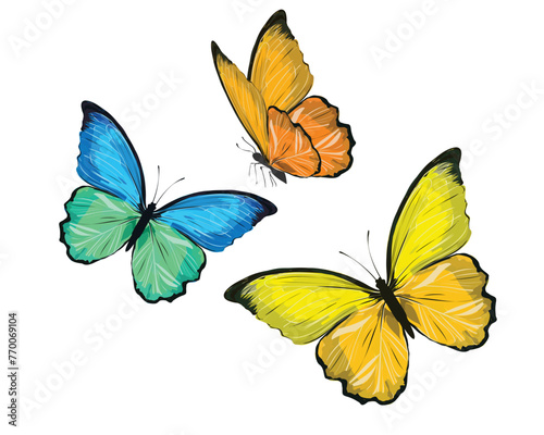 colorful  flock of cololorful butterflies flies. Butterfly set.monarch tawny spring butterfly © gltekin