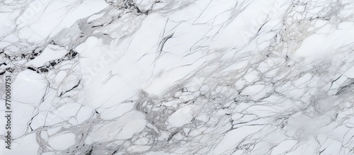 Elegant white marble featuring prominent black vein pattern for interior design and architecture projects