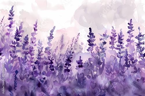 field lavender watercolor illustration, wild purple flowers