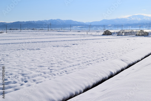雪国の田園風景 山形県庄内 © FRANK