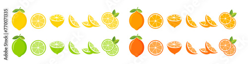 Citrus slices set. Lemon, lime, orange and grapefruit. Vector EPS 10