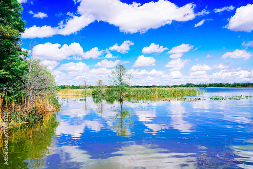 The landscape of Lake parker in Lakeland, Florida, USA   © Feng