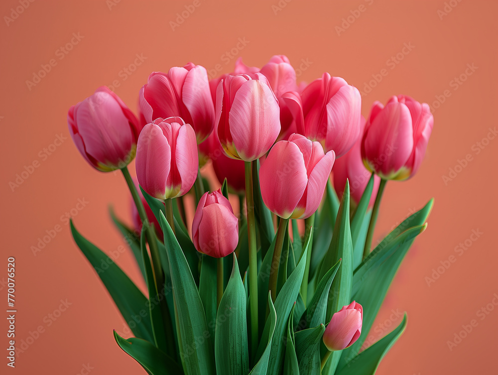 International mother and family day, happy birthday. Background with tulips. bouquet of tulip flowers close-up. red pink tulips on a light red background, postcard