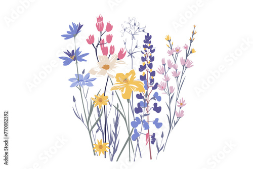 Enchanted Meadows: Meadow Flowers Vectorized