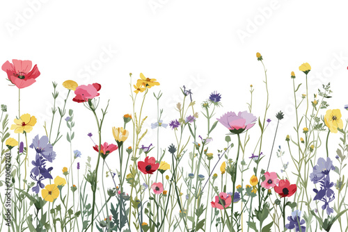 Floral Symphony: Meadow Flowers Vectorized