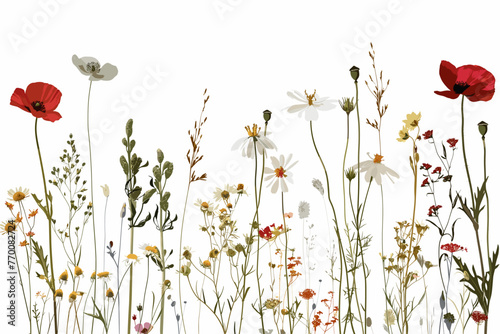Wildflower Wonders: Vector Illustration