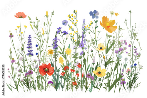 Botanical Bounty  Vector Wildflower Collection