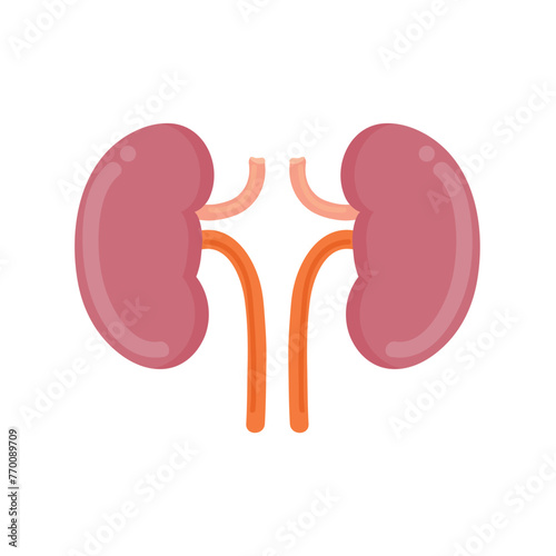 Kidney icon clipart avatar logotype isolated vector illustration