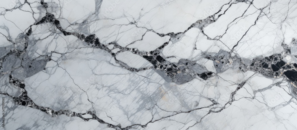 Detailed view of a black and white intricate design on a polished marble surface Detailed view of a black and white intricate design on a polished marble surface