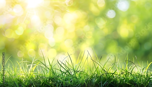 Tranquil Morning Scene, Green Grass Glistening with Dewdrops in Morning Sun