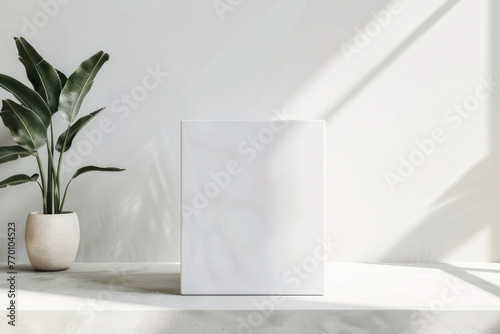 Plant in White Vase by White Wall