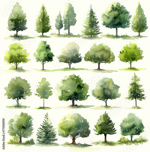 Watercolor Collection of Trees: Artistic Variety of Greenery for Landscape Design