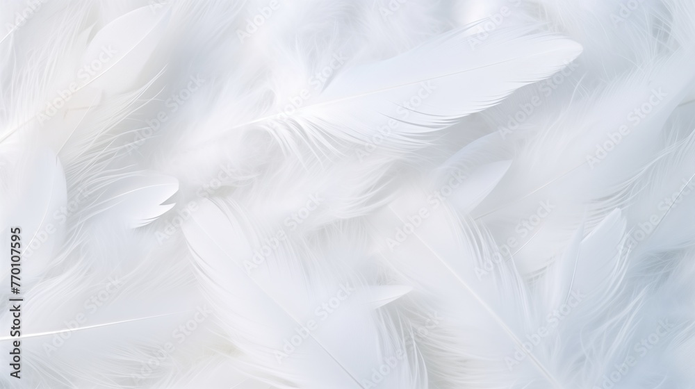 Soft White Feathers Texture Close-Up for Serene Background Soft White Feathers Texture Close-Up for Serene Background