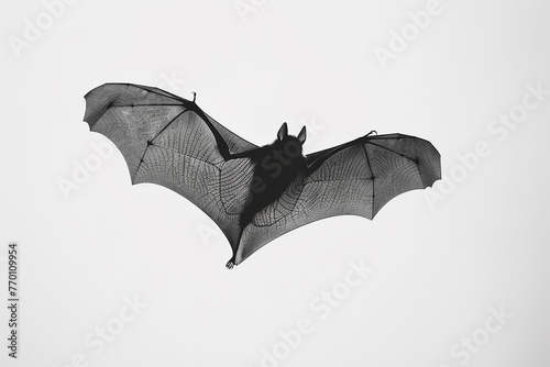 Bat silhouette in flight, wings fully extended, against a solid white background.
