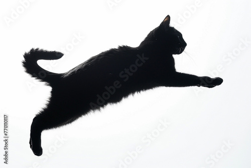 Black cat silhouette mid-leap, tail straight, ears up, on white background.