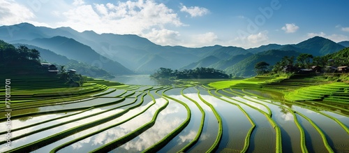 Terraced rice field in water season photo