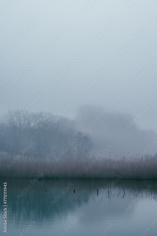 Fog and lake . Frost on lake . Blue morning . Fogy morning . Forest and lake . Trees on the lake . Blue water . Mystery nature . Landscape with fog . Morning at winter . Blue houre Fog and lake . Frost on lake . Blue morning . Fogy morning . Forest and lake . Trees on the lake . Blue water . Mystery nature . Landscape with fog . Morning at winter . Blue houre