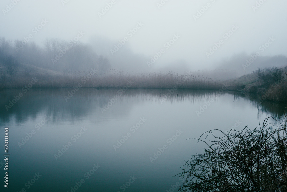 Fog and lake . Frost on lake . Blue morning . Fogy morning . Forest and lake . Trees on the lake . Blue water . Mystery nature . Landscape with fog . Morning at winter . Blue houre 