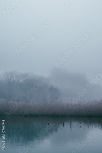 Fog and lake . Frost on lake . Blue morning . Fogy morning . Forest and lake . Trees on the lake . Blue water . Mystery nature . Landscape with fog . Morning at winter . Blue houre 