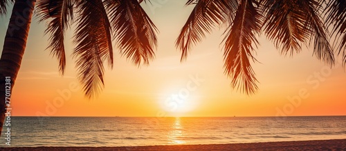 Beautiful Silhouette palm tree on the beach and sea - Vintage Filter