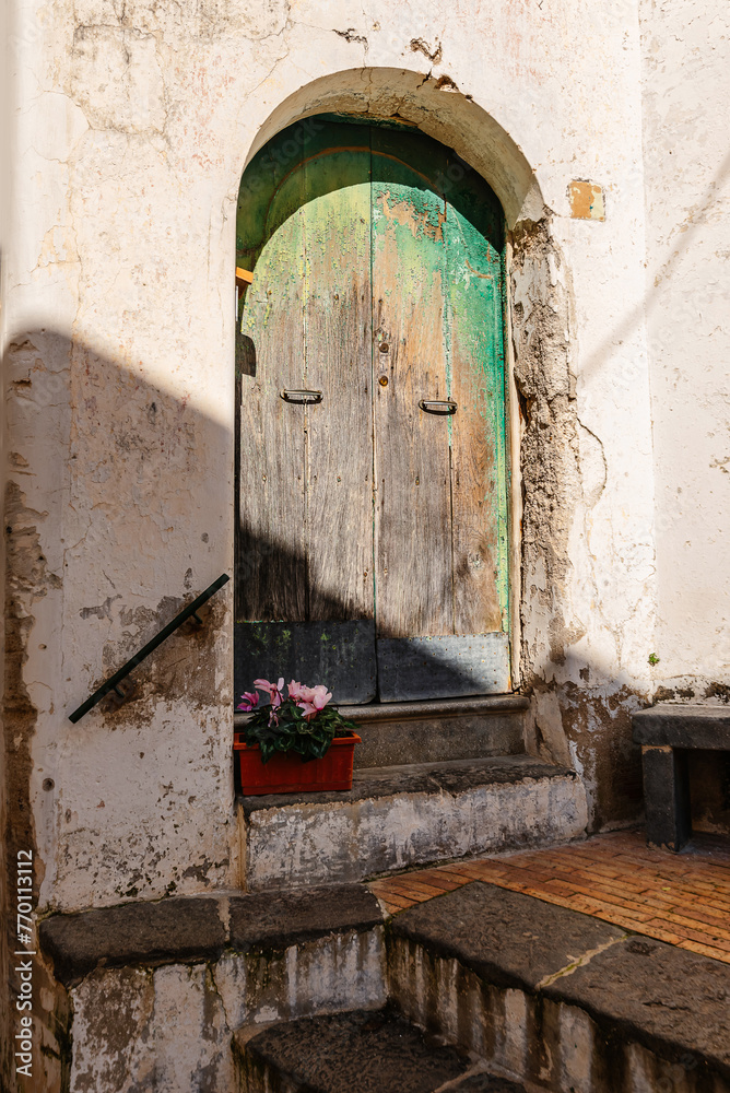 An old wooden door in an old house and a pot of flowers