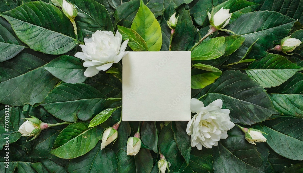 Creative layout composition frame of juicy green leaves with beautiful texture with paper card note, macro. Flat lay. Nature concept, copy space Creative layout composition frame of juicy green leaves with beautiful texture with paper card note, macro. Flat lay. Nature concept, copy space