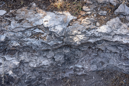 Older dune deposits / Well-sorted calcareous sand / Sand dune, MAKAPUU POINT HONOLULU OAHU HAWII. 