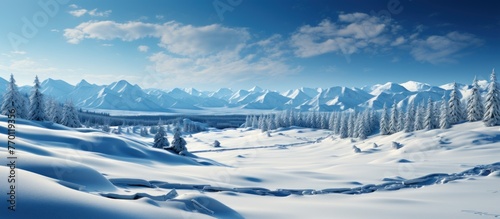 Winter mountain landscape with snow covered trees