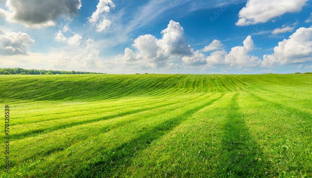 Beautiful natural scenic panorama green field of cut grass into and blue sky with clouds on horizon. Perfect green lawn on summer sunny day. 