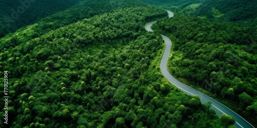 highway in the middle of the forest, bird's eye view Generative AI