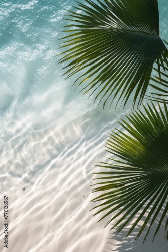 palm leaves against the background of azure ocean water Generative AI
