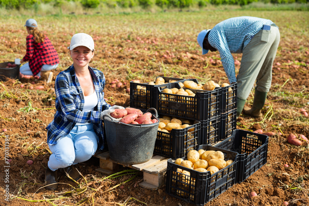 Φωτογραφία Portrait of positive caucasian young woman farmer with potato crop on vegetable field