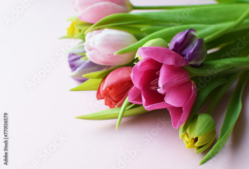 Fototapeta Naklejka Na Ścianę i Meble -  Bouquet of colorful spring tulips for Mother's Day or Women's Day on a  pink background.