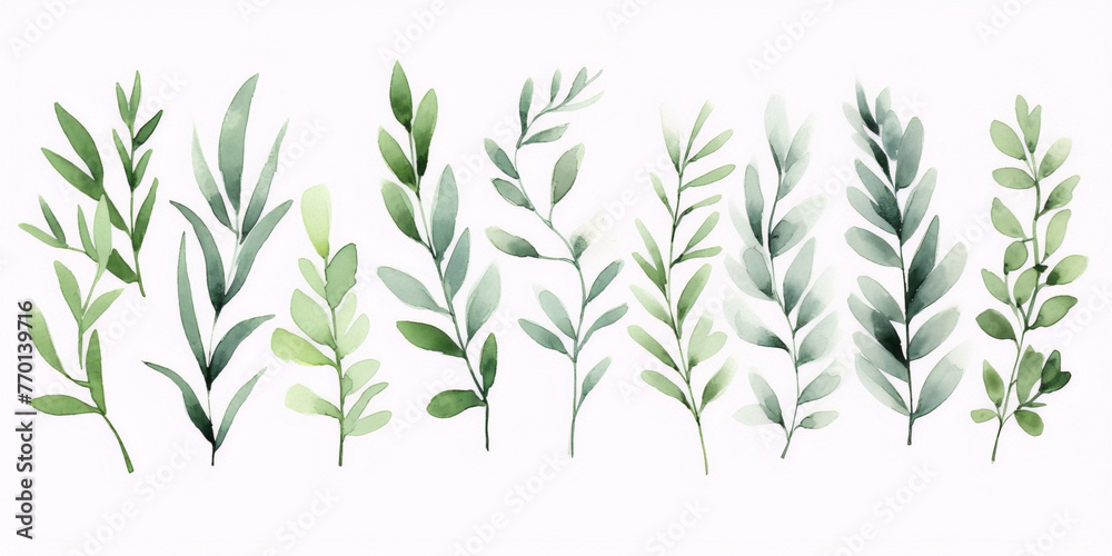 Naklejka premium Delicate greenery watercolor botanical illustration, perfect for wedding invitations, greeting cards, and branding projects.