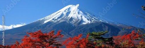 Snow capped mtfuji, tokyo s tallest volcano with autumn red trees   sacred symbol nature landscape photo