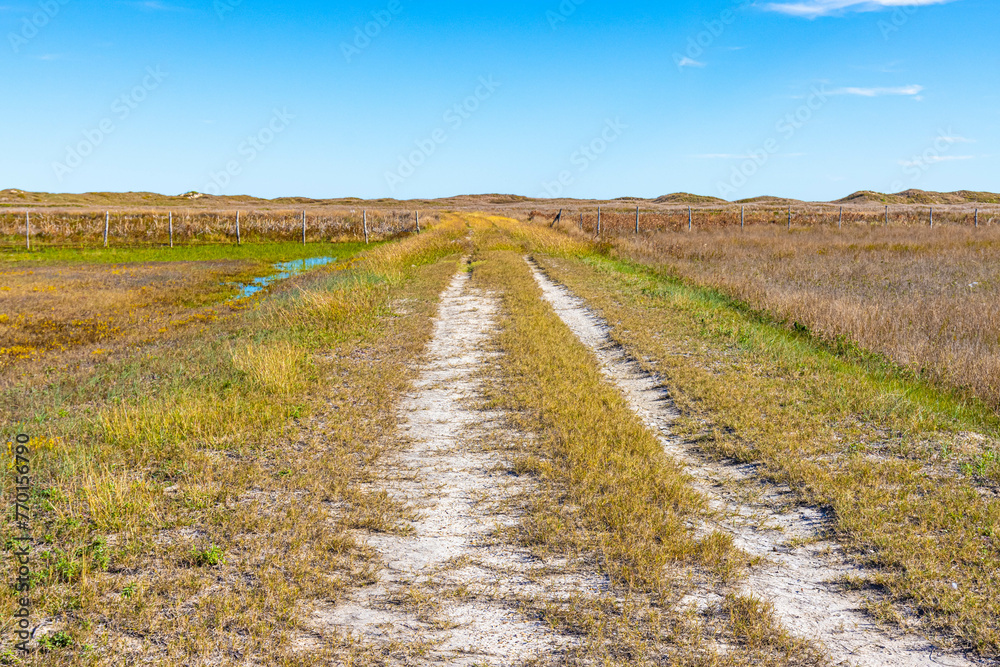 Dirt Road Leading To The Beach at The Historic Novillo Line Camp, Padre Island National Seashore, Texas, USA Dirt Road Leading To The Beach at The Historic Novillo Line Camp, Padre Island National Seashore, Texas, USA