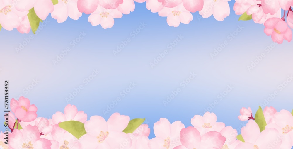 pink sakura flower on a blue background