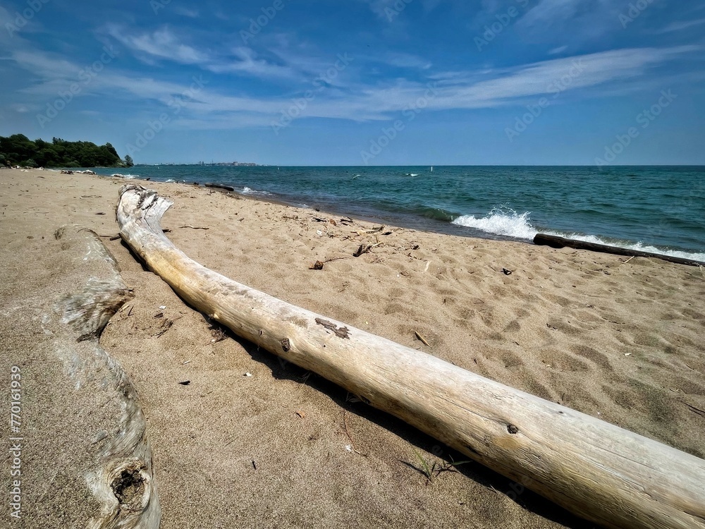 Sunny beachscape with driftwood on sand, clear blue sky, and gentle waves in the background. Sunny beachscape with driftwood on sand, clear blue sky, and gentle waves in the background.