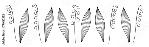 Set of hand-drawn lily of the valley flowers and leaves