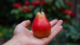 Hand holding fresh pear, pear selection on blurred background with copy space for text placement