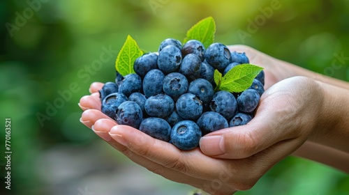 Hand holding fresh blueberries, selection on blurred background with space for text placement